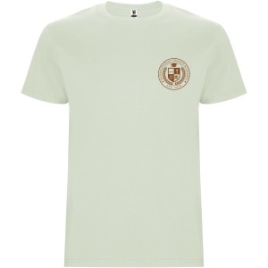 Roly Stafford frfi pamutpl, Mist Green (T-shirt, pl, 90-100% pamut)